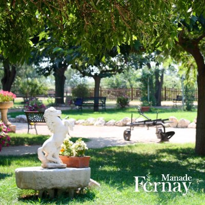 Mas des Jasses de la ville, Manade Fernay