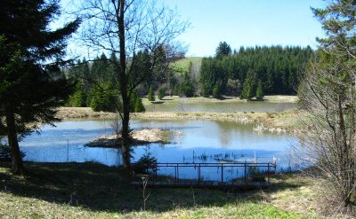 Pêche aux étangs du Bois du Roy