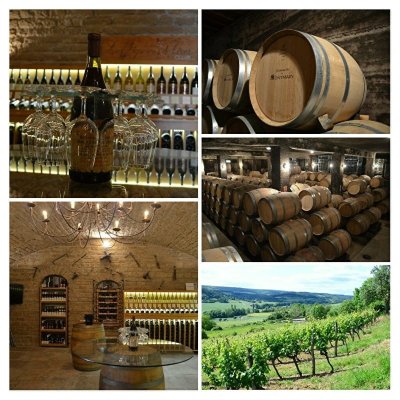 Gourmet tasting Tour - Bourgogne Vagabonde