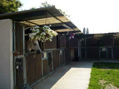 Cercle Hippique de la Longueraie