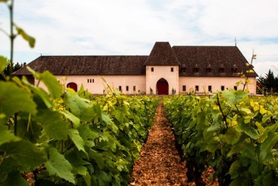 Dégustation Climat de Bourgogne au Château de Marsannay