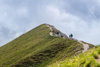 Sentiers Libres - Rémi Basmaji