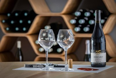 Activinum - Œnologie