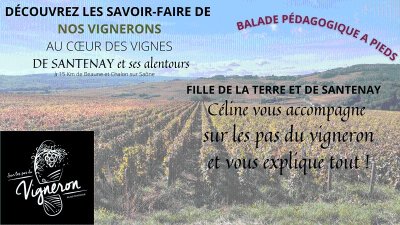 Sur les pas du vigneron - Guide