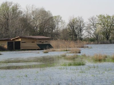 Observatoire de l'étang de la Sous (Réserve naturelle de Chérine)
