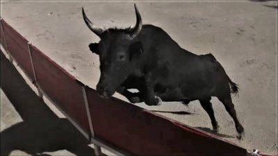 Arènes de Pélissanne