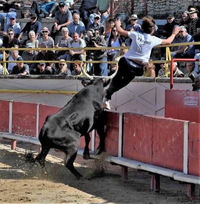 Arènes Chomel Coinon