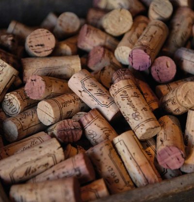 Circuit privatisé 1/2 journée - Côte de Nuits, Au paradis du Pinot noir - Matin