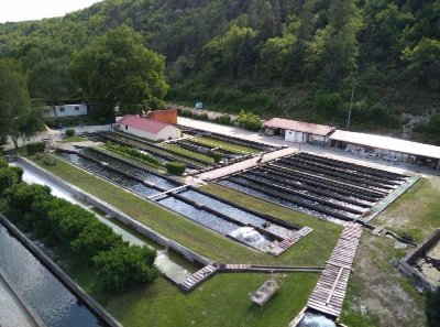 La Ferme Aquacole de Crisenon