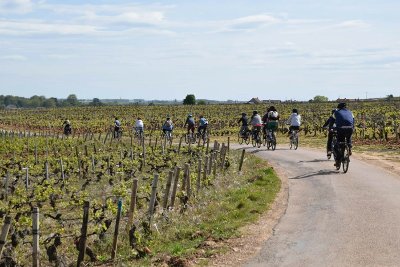Velovitamine - Balade Oenologique à vélo "Côte de Nuits 1er Cru" Dijon à Gevrey-Chambertin