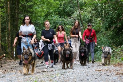 La Légende du Loup Noir
