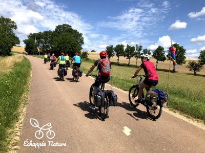 Echappée nature dans le Parc national de forêts