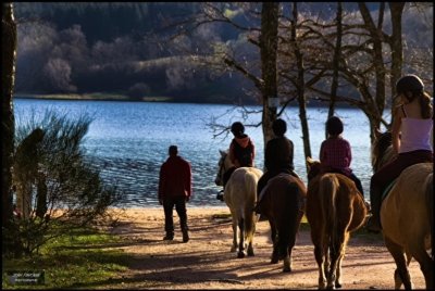 Majaz'L - Centre Equestre du Bois du Loup