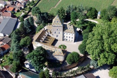 Château Philippe le Hardi - Visite dégustation "Fons Boni & Sani"