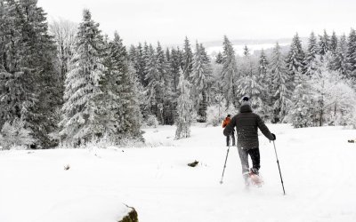 Les Aventures Fankarstiques