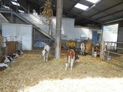 Ferme pédagogique du GAEC des 3 provinces