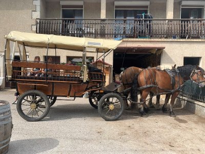 La calèche des Chauvins