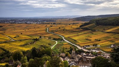 Chemins de Bourgogne - Circuit dans la Côte de Nuits, en 4x4 -Matin