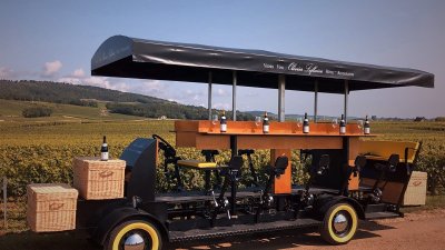 Olivier Leflaive - Wine Bike Experience