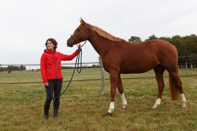Ecurie les Rouillons