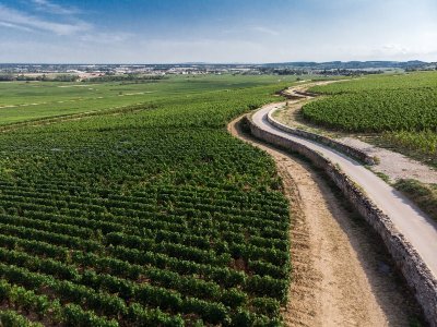 Le Cellier Armand Heitz - Caveau de Dégustation