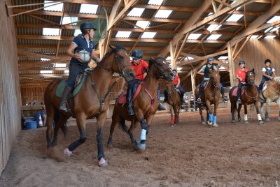 Centre Équestre et Poney Club Le Sapajou