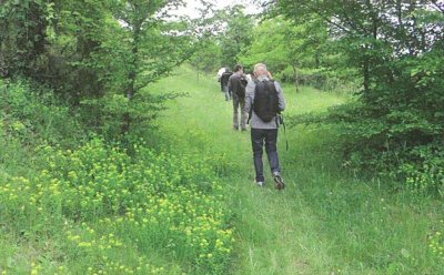 L’Espace Naturel Sensible : « Coteau de Coillard »