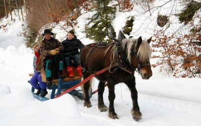 Les Attelages du Grandvaux en hiver