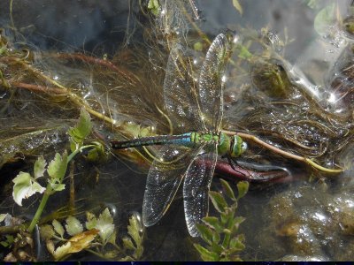 Découverte d'un éco-lieu