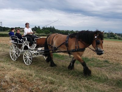 Attelage Randonnée Morvan