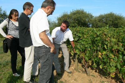 L'Atelier de la Vigne et du Vin
