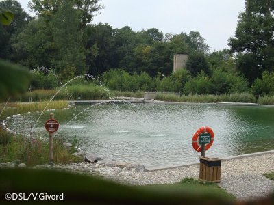 Plan d'eau biotope
