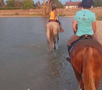 En EQUI-LIBRE - Balade à cheval autour de Beaune