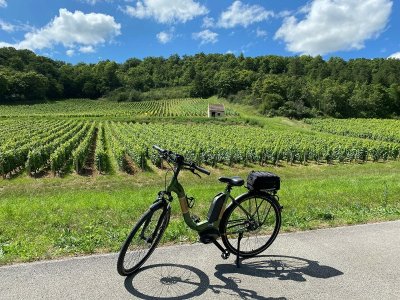 Location de courts de tennis