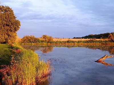 Pêche à l'étang de la Gruyère