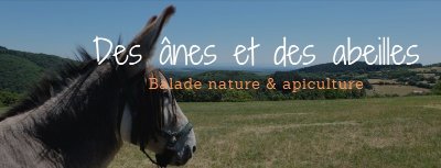 Des Anes et des Abeilles