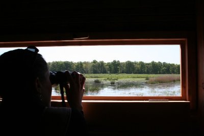 Observatoires du site de l'étang de Bellebouche