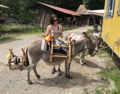 Ferme equestre de la forge