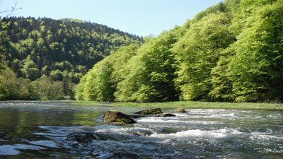 Peche sur le doubs franco-suisse