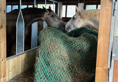 Les Écuries de l'Osmose