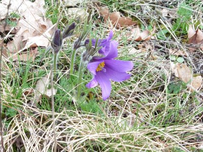 Circuit du grand Vau