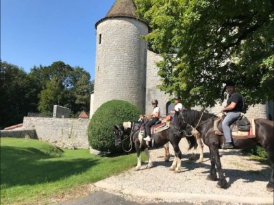 La Genette et la Salamandre