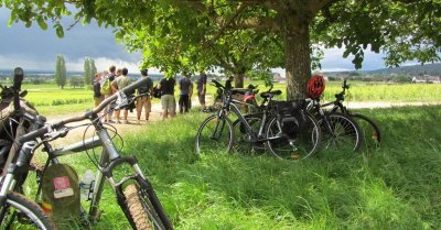 Velovitamine Balades oenologiques "Côte de Nuits Grand Cru" de Nuits-St-Georges à Gevrey Chambertin