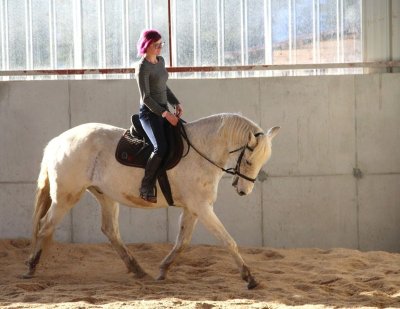 Centre équestre de la Charbonnière