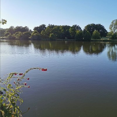 Merveilles et nature