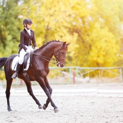 Ecurie Michel Charline