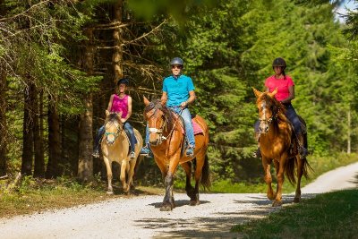 Gaïa Loisirs - Equitation autour de balades, stages et cours pour tous !