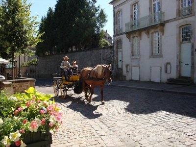 Les Attelages de l'Autunois