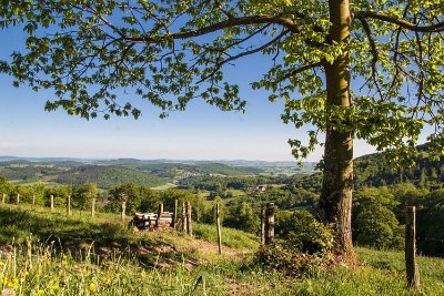 Panorama sur la Loire