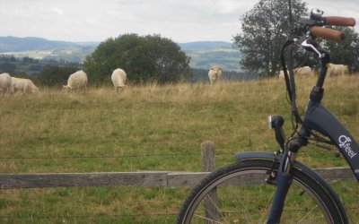 Location de vélos au "Gîte Belle Vue"